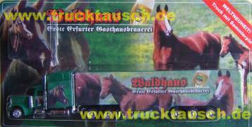 Waldhaus Erfurt mit vielen Pferden, mit Pin (Pferd), schlichte Aufkleber auf ZM und Tür